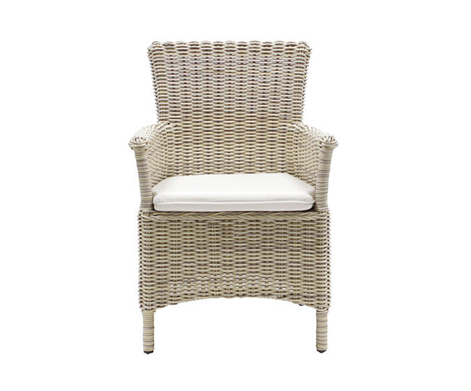 Auckland Carver Dining Chair Daro, Rattan Dining Chairs Indoor Uk